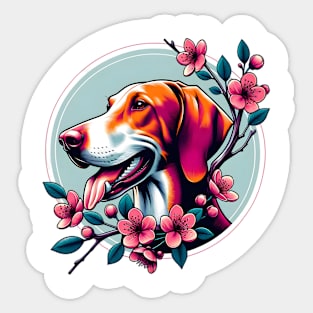 Joyful Hanoverian Scenthound Amidst Spring's Cherry Blossoms Sticker